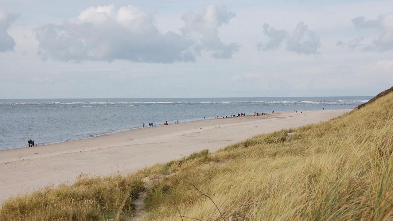 Photo of Others in Blavand Strand
