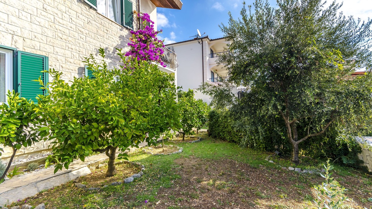 Photo of Outdoor in Okrug Gornji