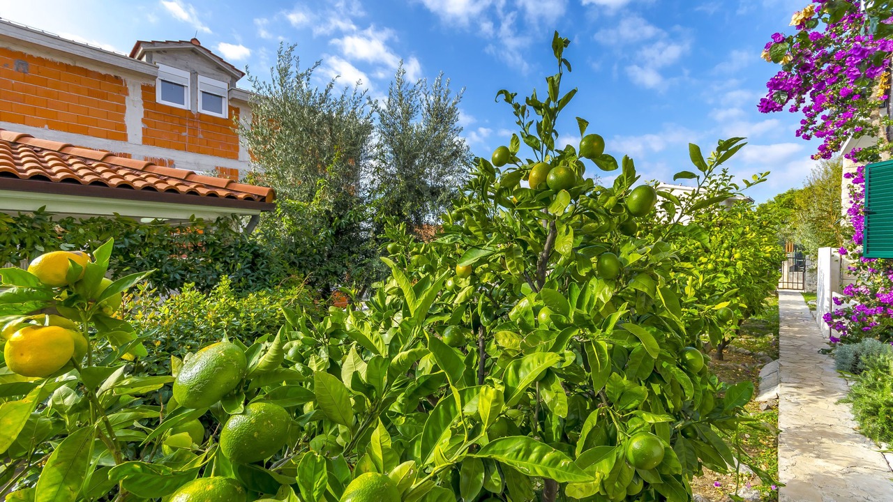 Photo of Outdoor in Okrug Gornji