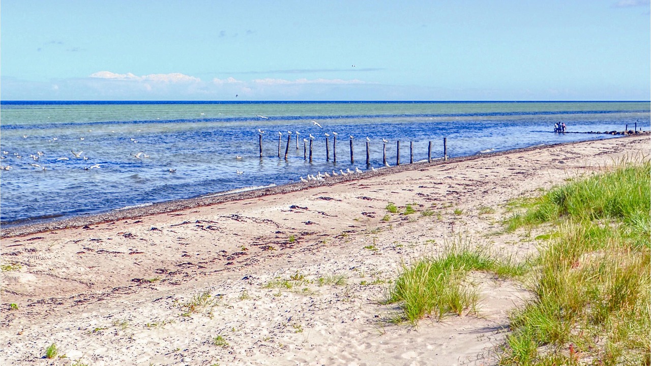 Photo of Others in Fjellerup