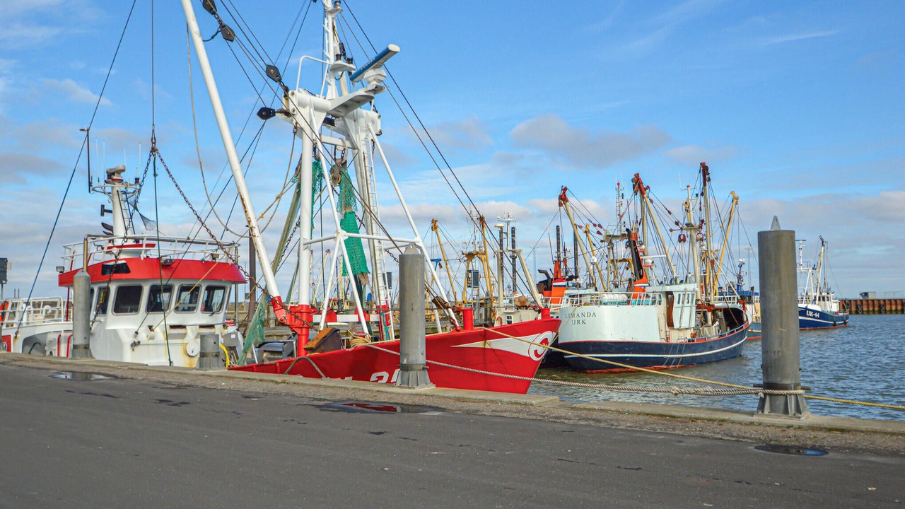 Photo of Others in Sønderstrand