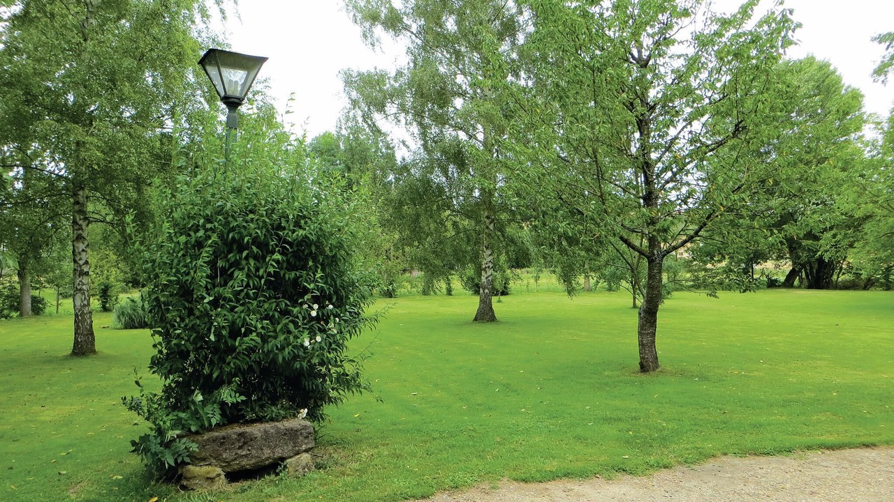 Photo of Others in Vernie