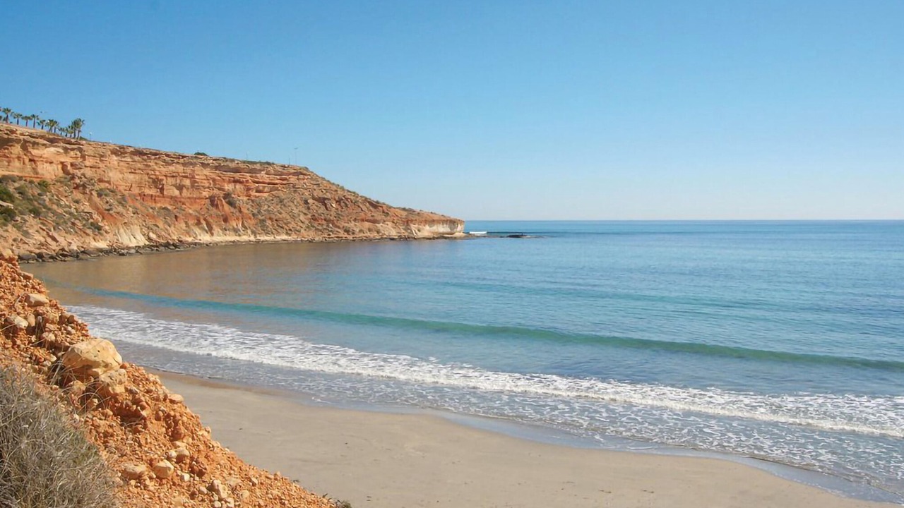 Photo of Others in Flamenca Beach