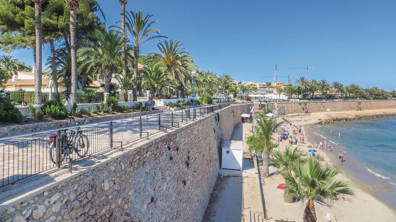 Photo of Others in Flamenca Beach