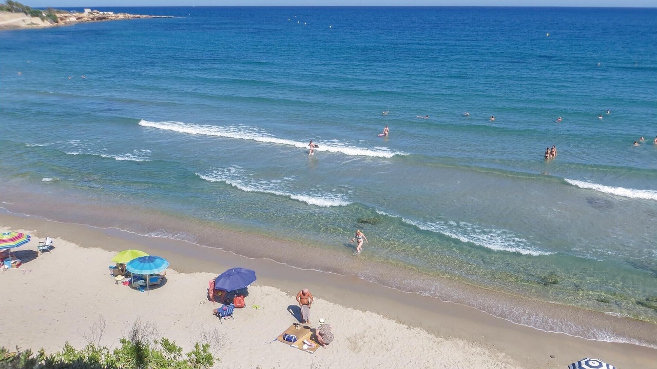 Photo of Others in Flamenca Beach