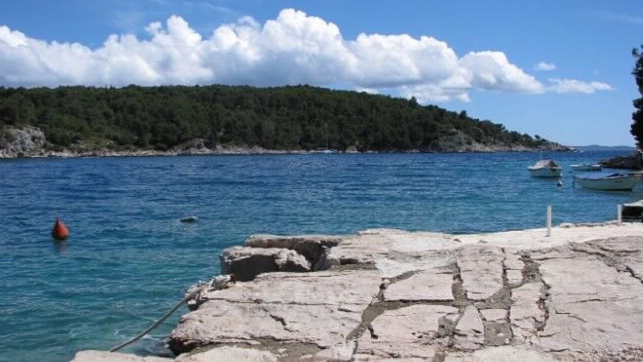 Photo of Others in Cove Osibova (Milna)