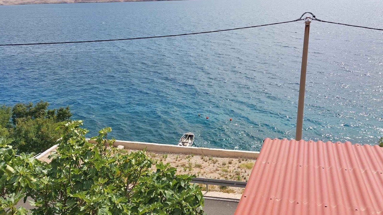 Photo of Others in Baric Draga