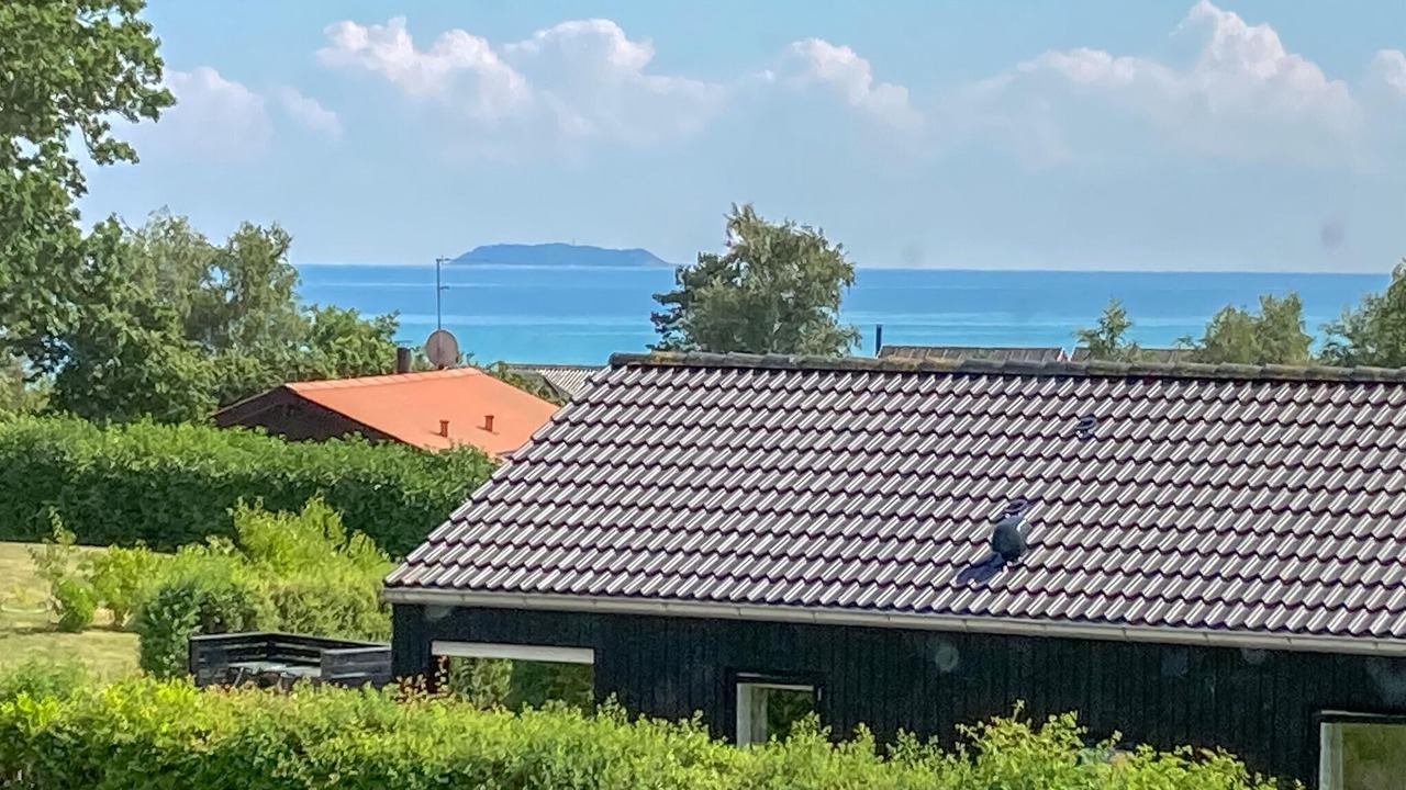 Photo of Others in Ebeltoft