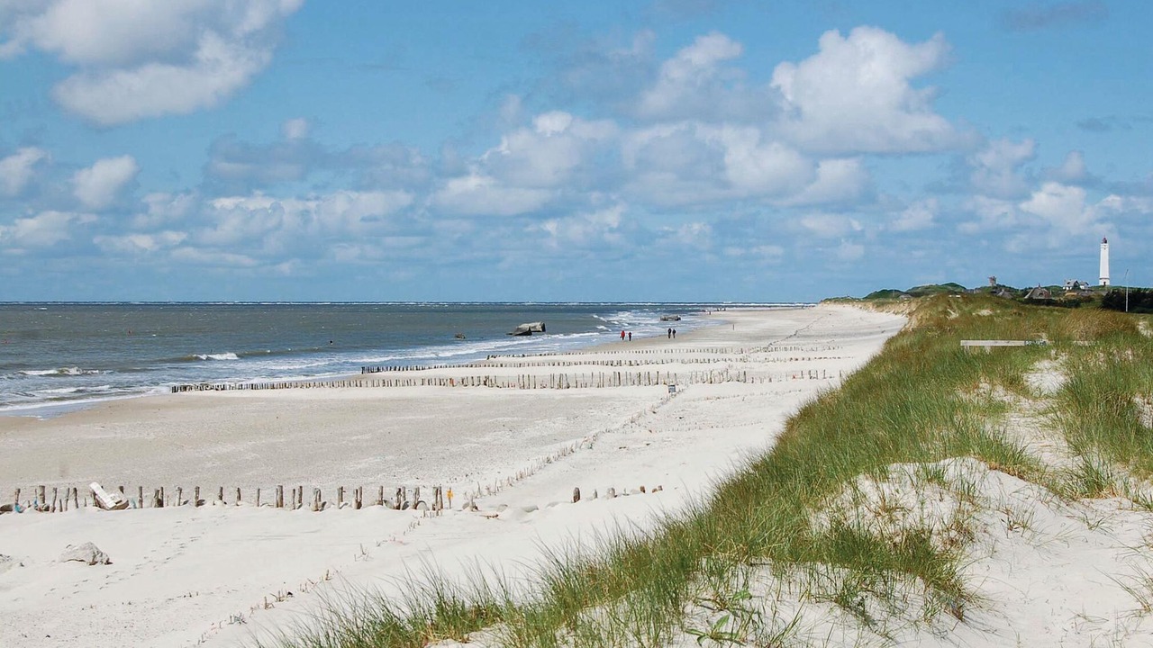 Photo of Others in Blavand Strand