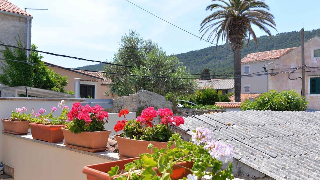 Photo of Outdoor in Veli Losinj