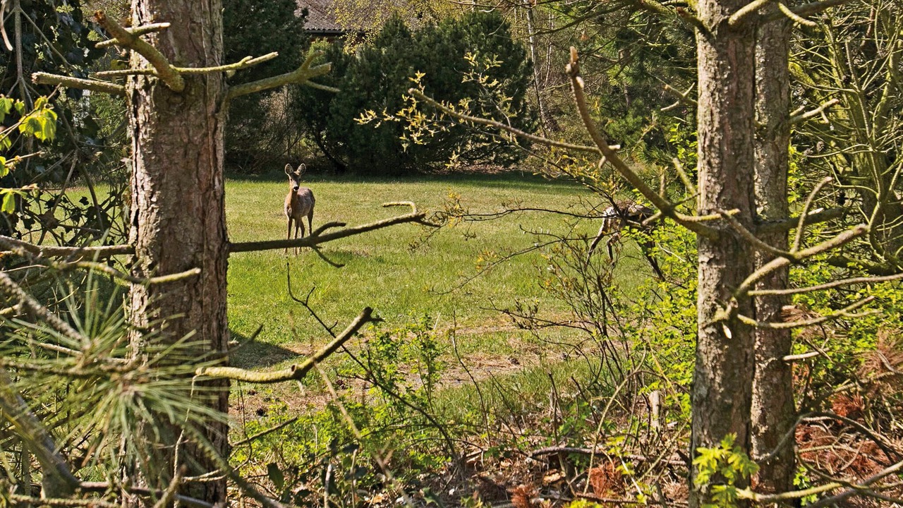 Photo of Others in Oster Somarken