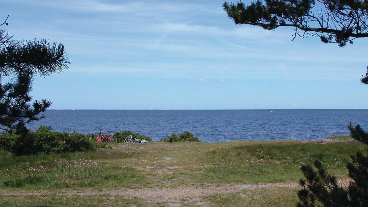 Photo of Others in Skaven Strand