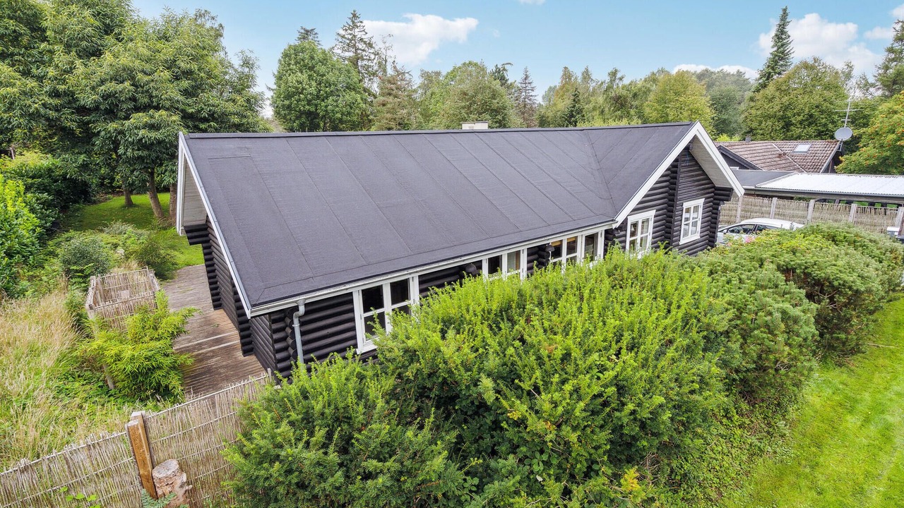 Photo of Others in Stege