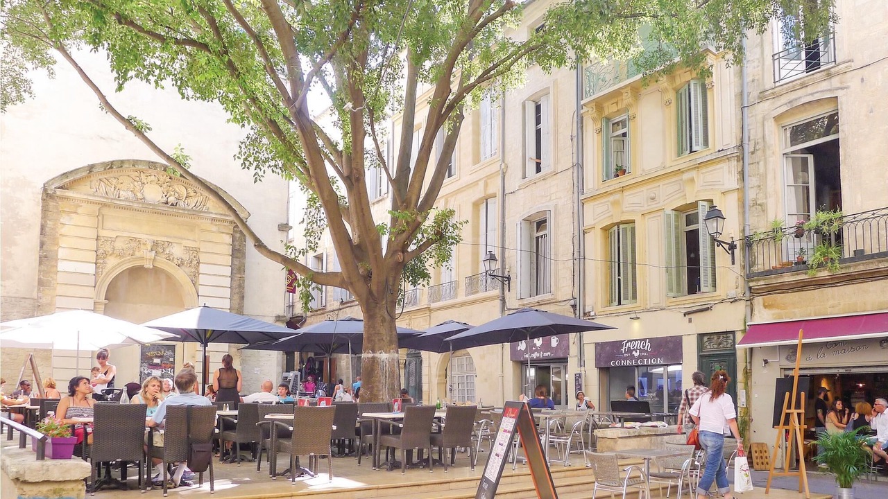 Photo of Others in Pignan