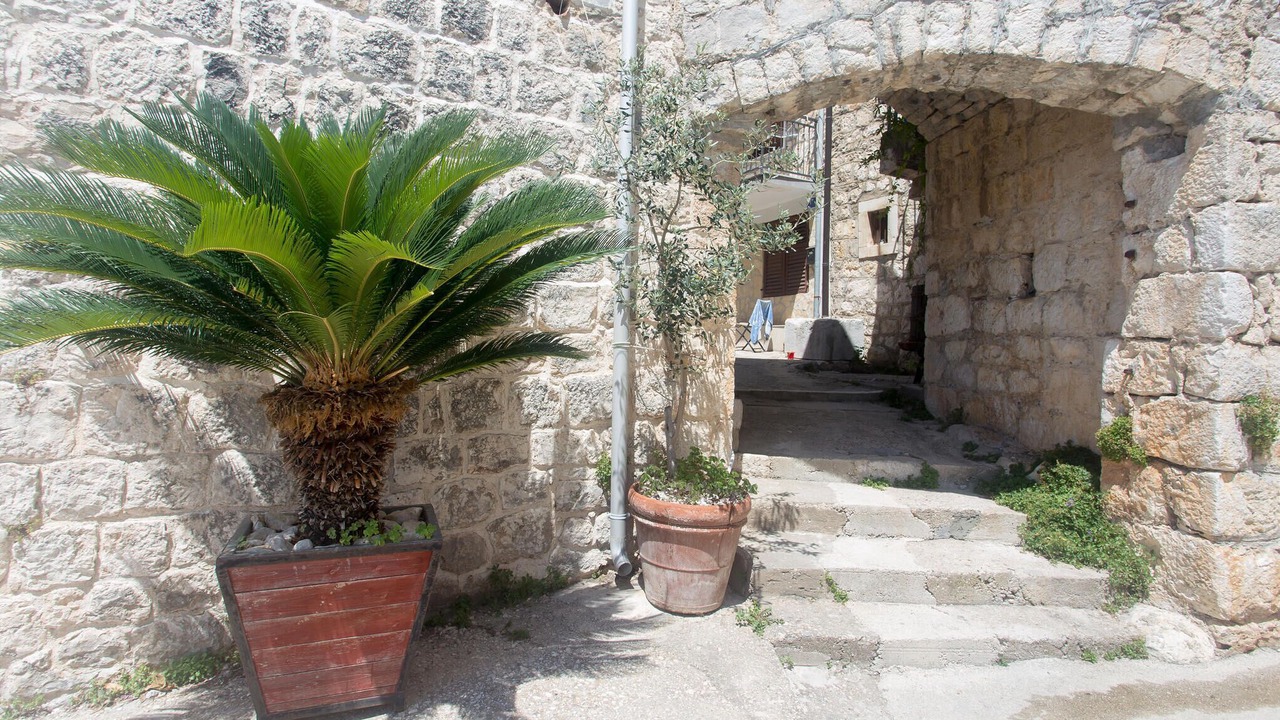 Photo of Others in Brist