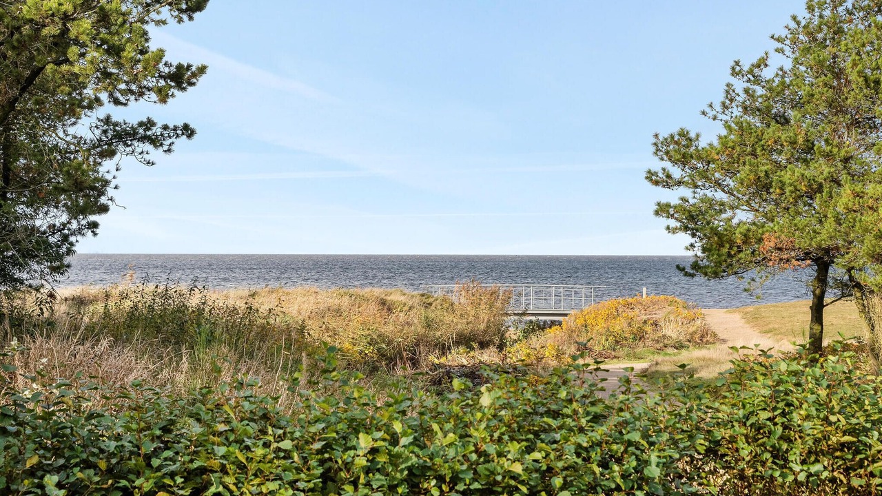 Photo of Others in Skaven Strand