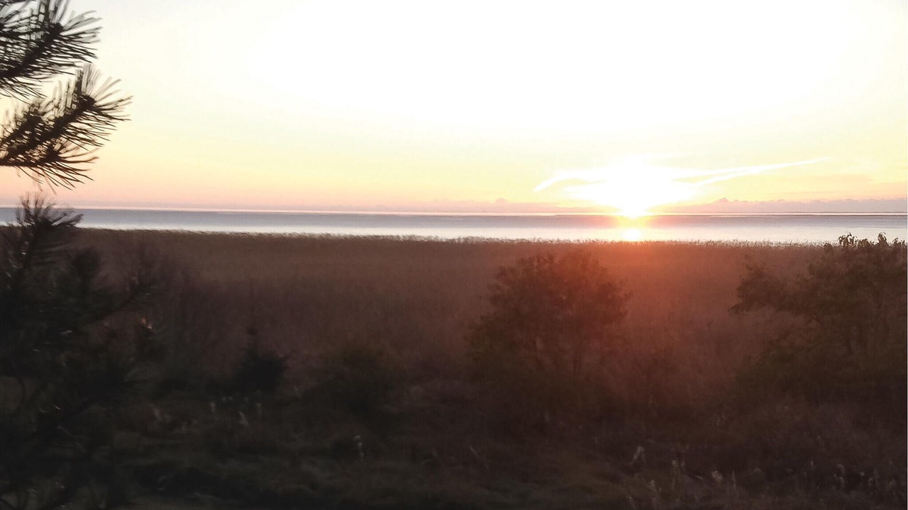 Photo of Others in Skjern