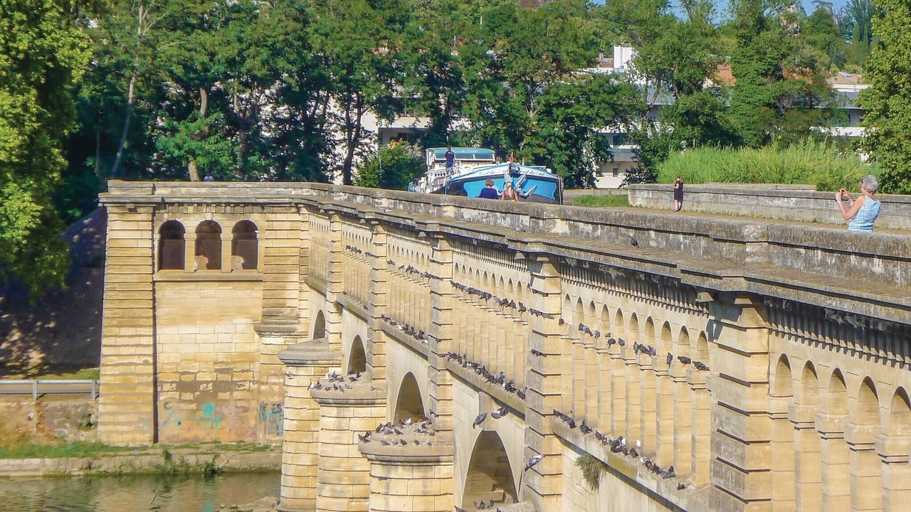 Photo of Others in Cessenon-sur-Orb