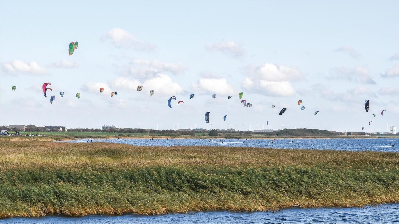 Photo of Others in Lodbjerg Hede
