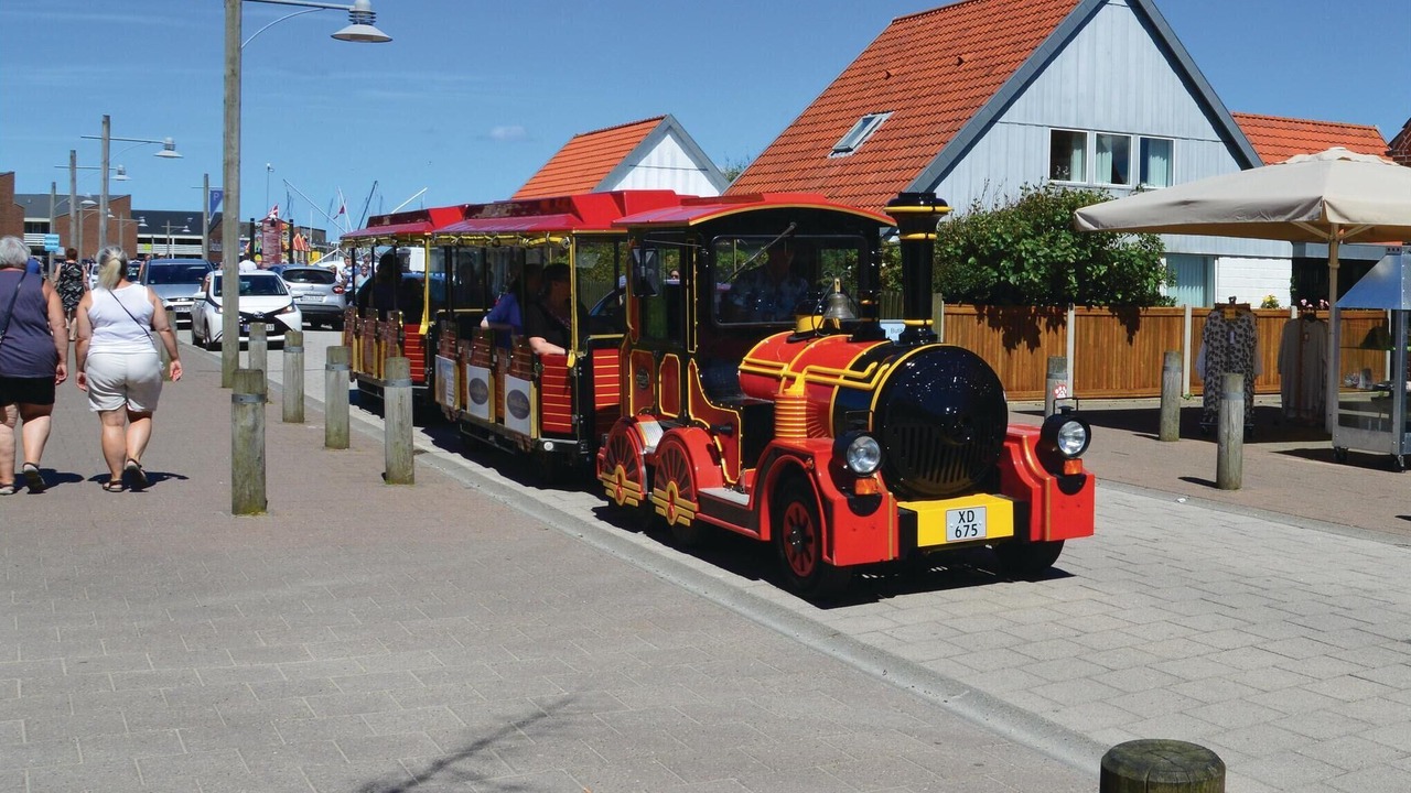 Photo of Others in Lodbjerg Hede