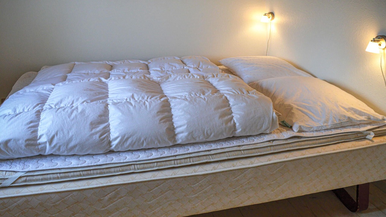 Photo of Others in Sønder Nissum