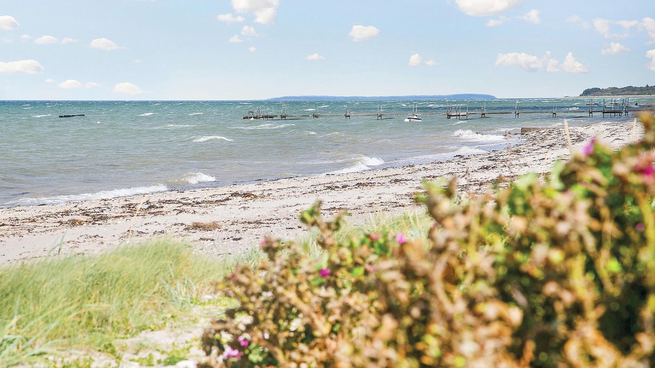 Photo of Others in Bogense