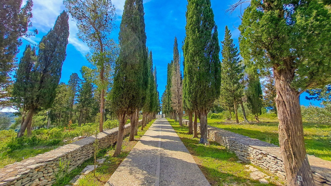 Photo of Outdoor in Sutivan