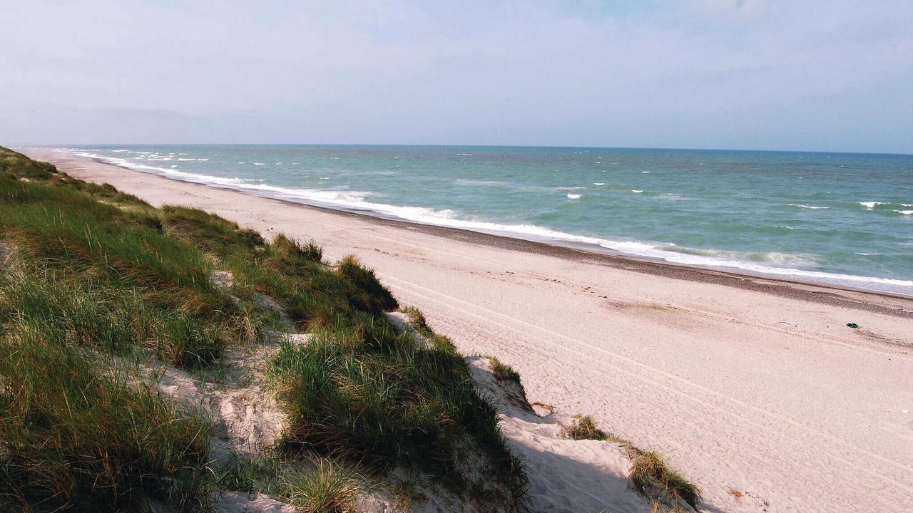 Photo of Others in Hvide Sande