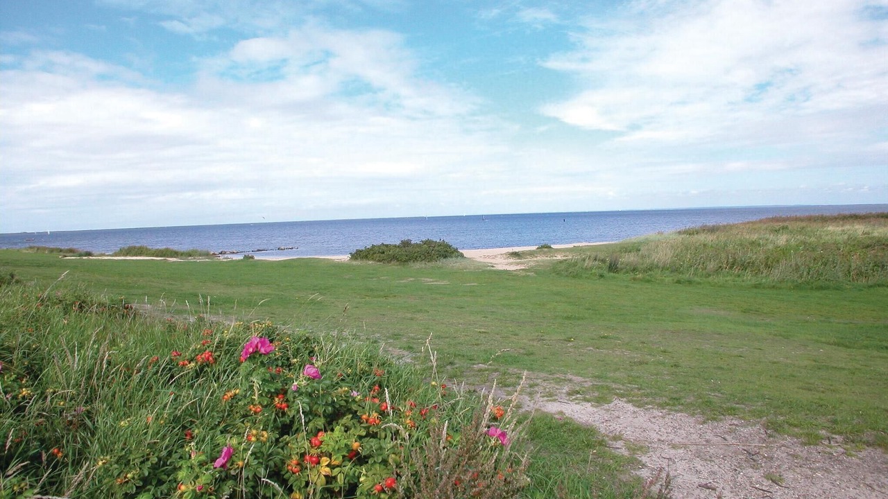 Photo of Others in Falen