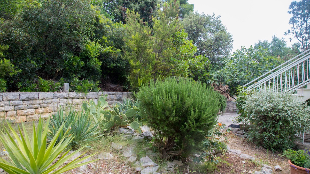Photo of Outdoor in Brna