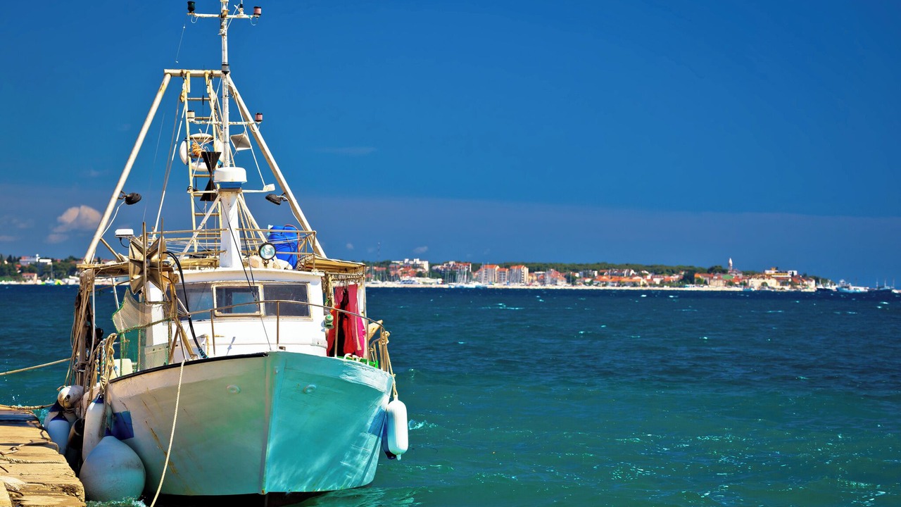 Photo of Others in Biograd na Moru
