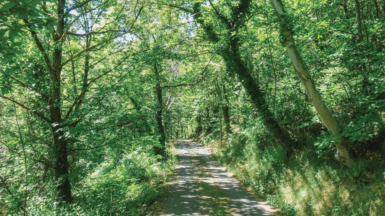 Photo of Others in Bonnevaux