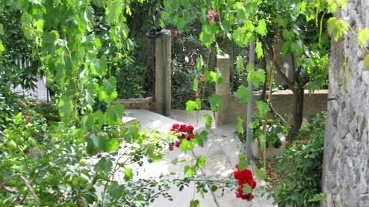 Photo of Outdoor in Krucica