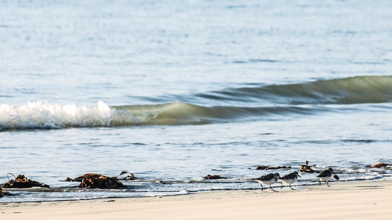 Photo of Others in Saint-Cast-le-Guildo