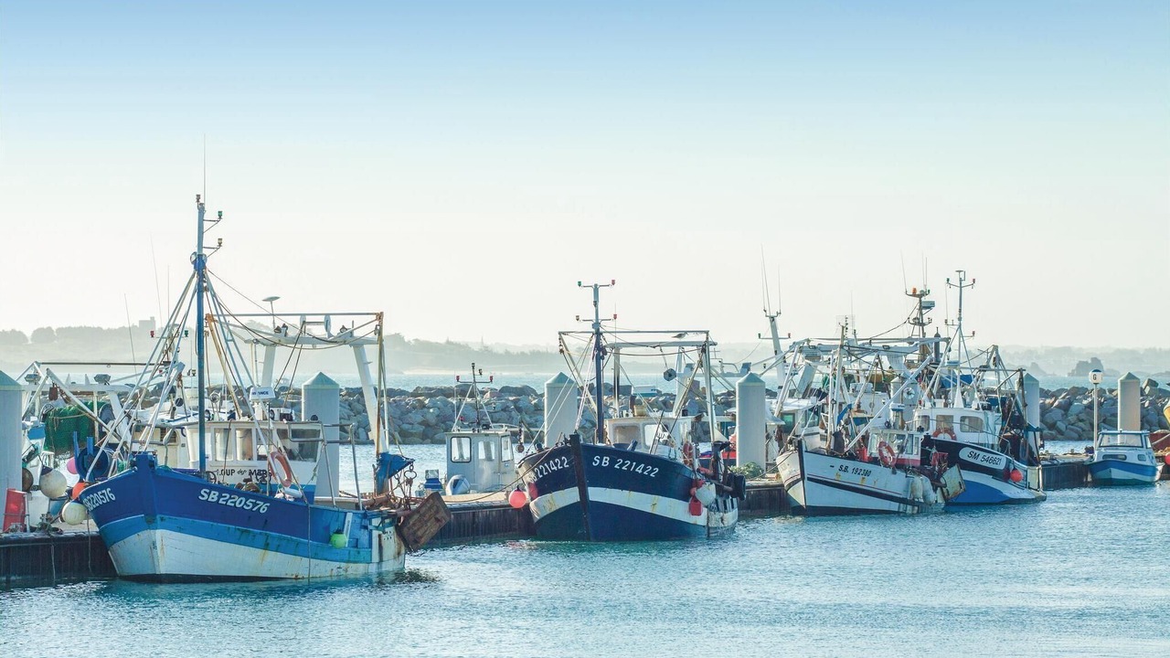 Photo of Others in Saint-Cast-le-Guildo