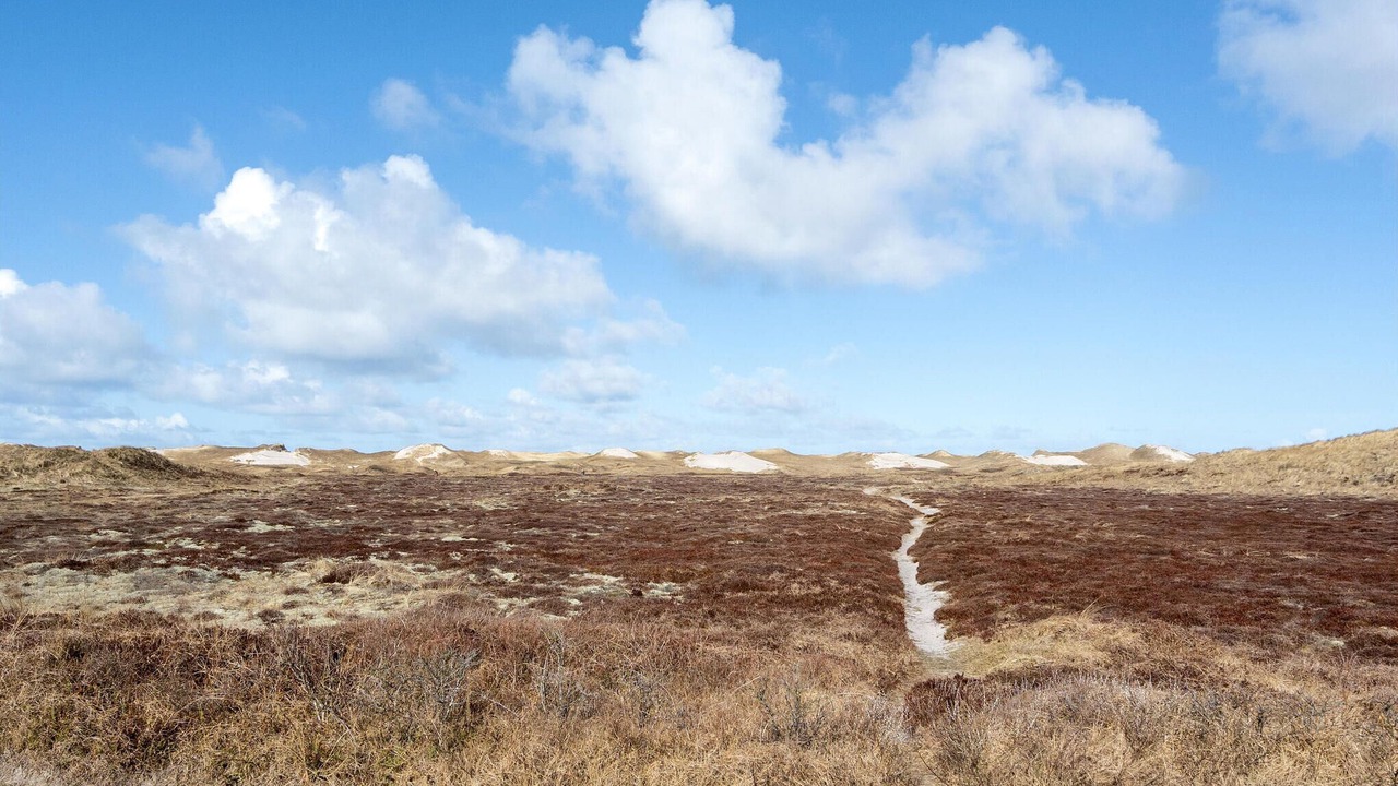 Photo of Others in Hvide Sande