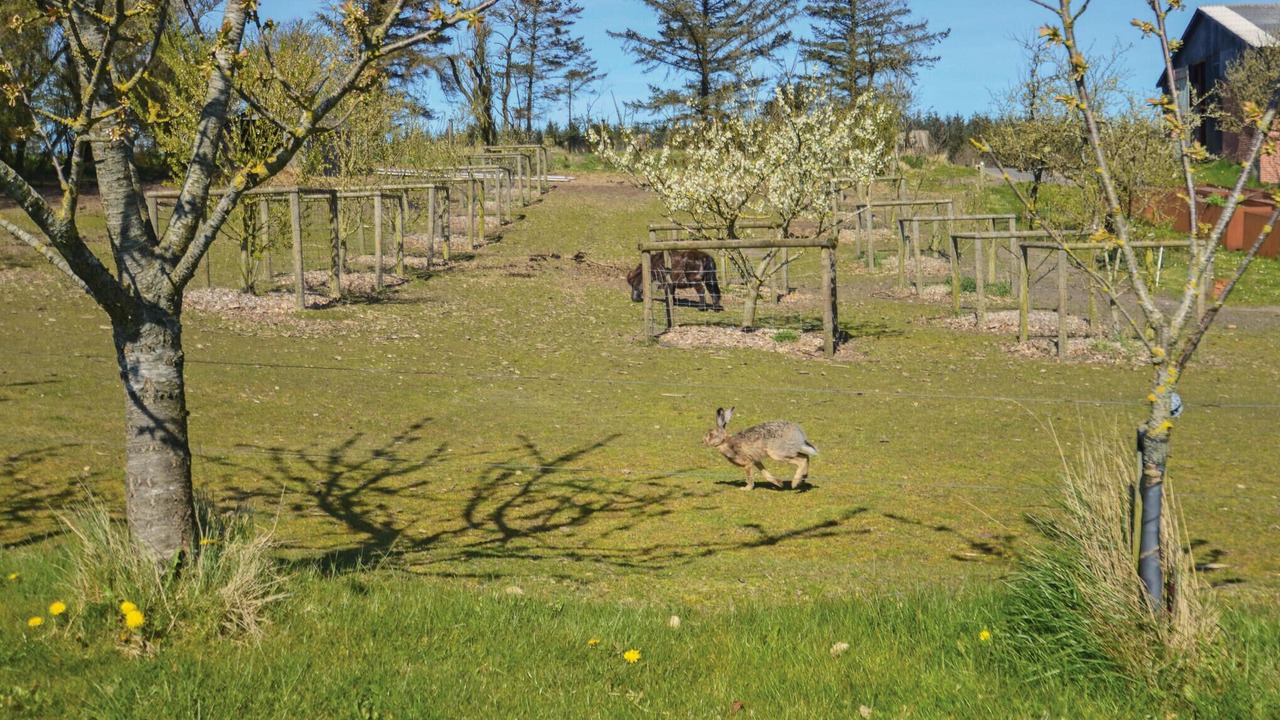 Photo of Others in Veno