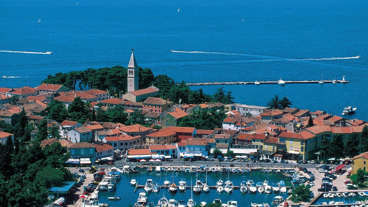 Photo of Others in Novigrad