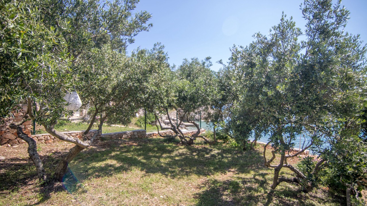 Photo of Outdoor in Gdinj