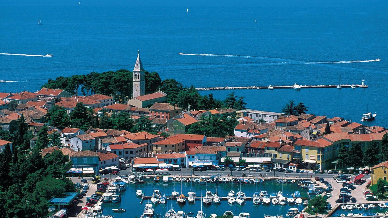 Photo of Others in Novigrad