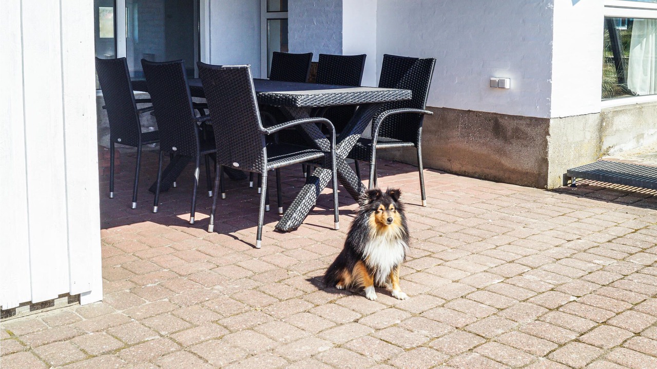 Photo of Outdoor in Klitmoller