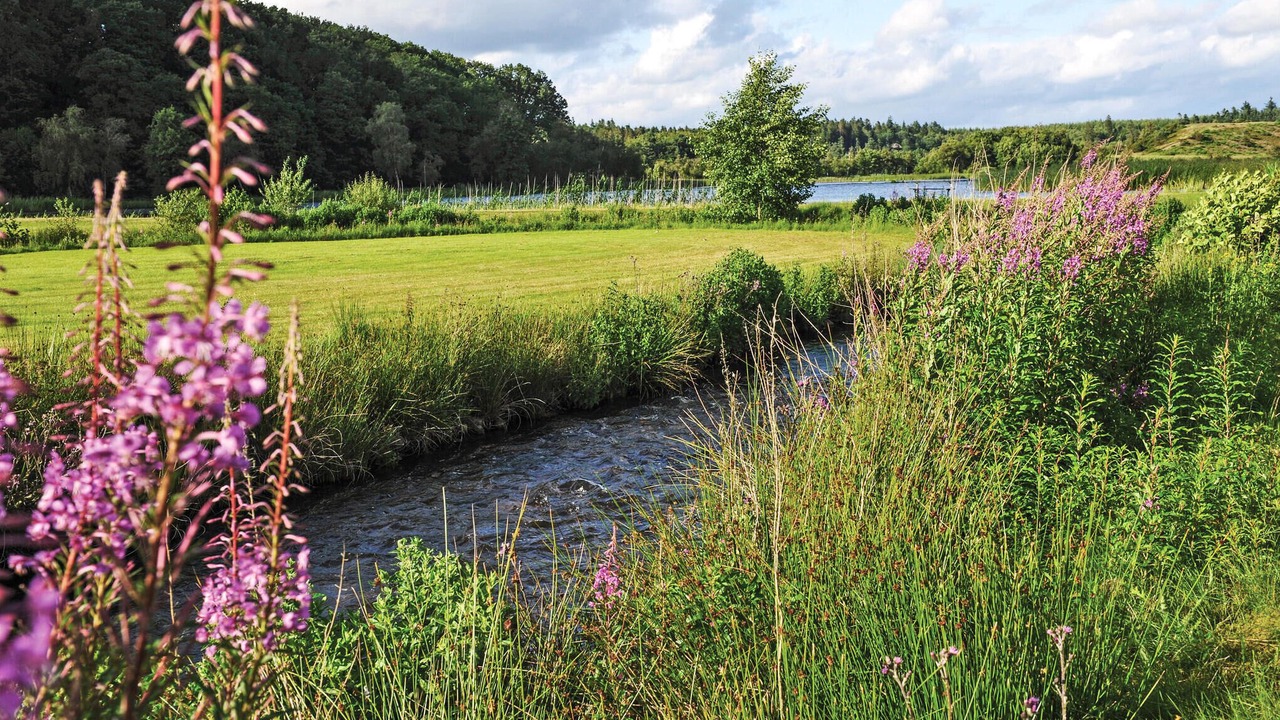 Photo of Others in Krejbjerg