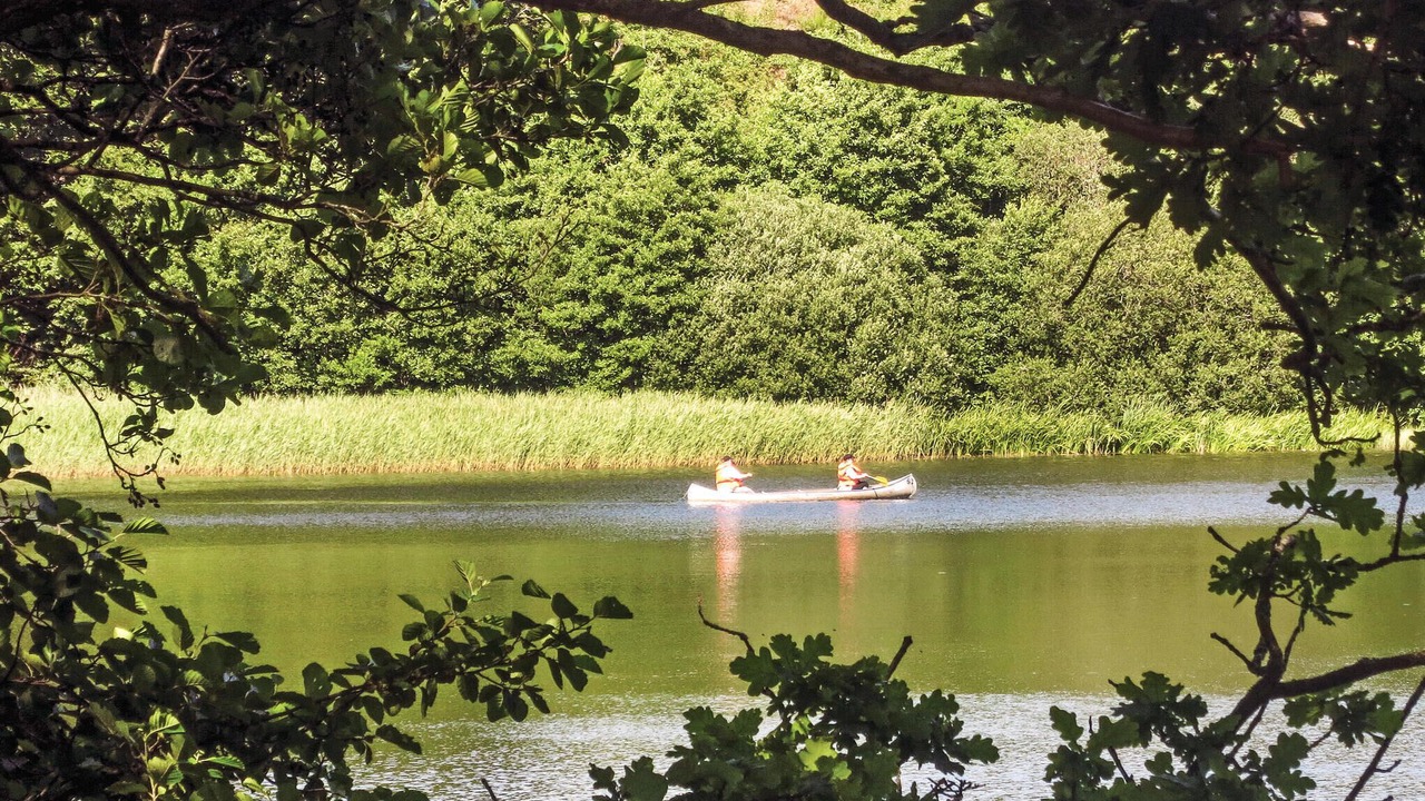 Photo of Others in Krejbjerg