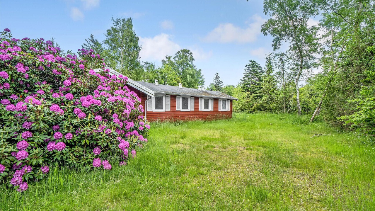 Photo of Outdoor in Rrvig