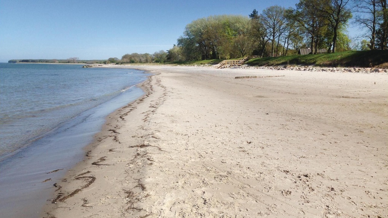 Photo of Others in Stege