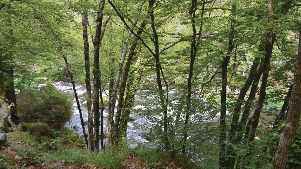 Photo of Others in Meslan