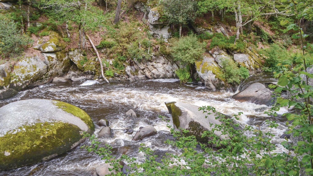 Photo of Others in Meslan