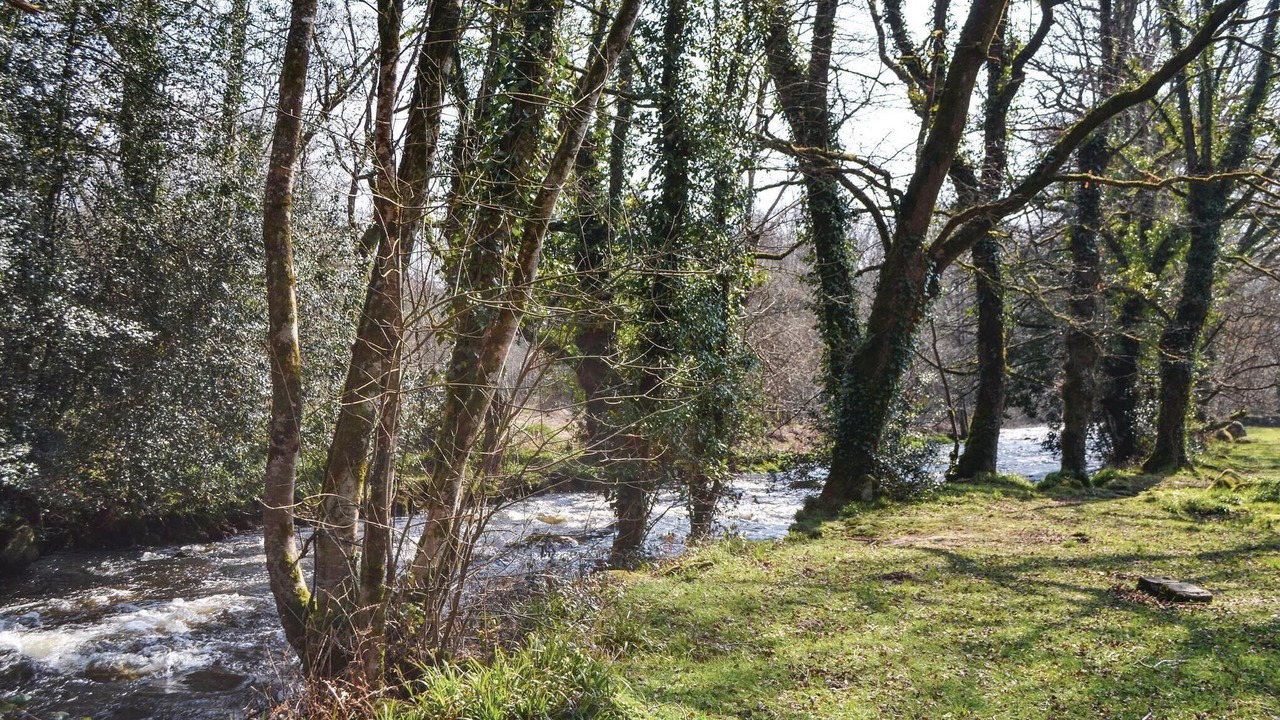 Photo of Others in Meslan