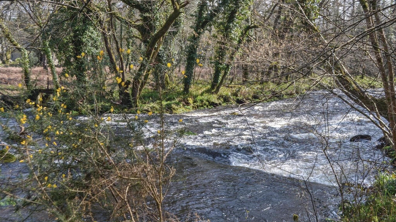 Photo of Others in Meslan