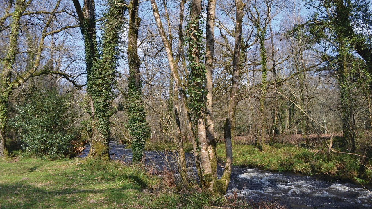 Photo of Others in Meslan